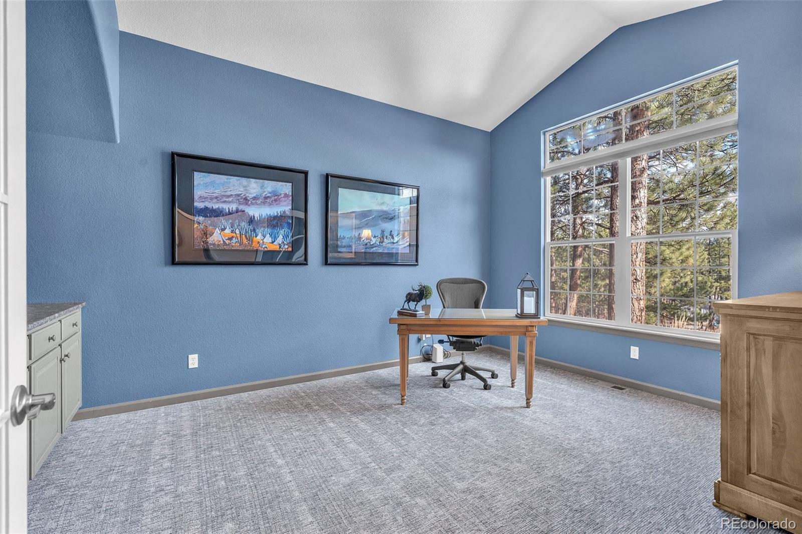 MLS Image #13 for 4988  delaware drive,larkspur, Colorado