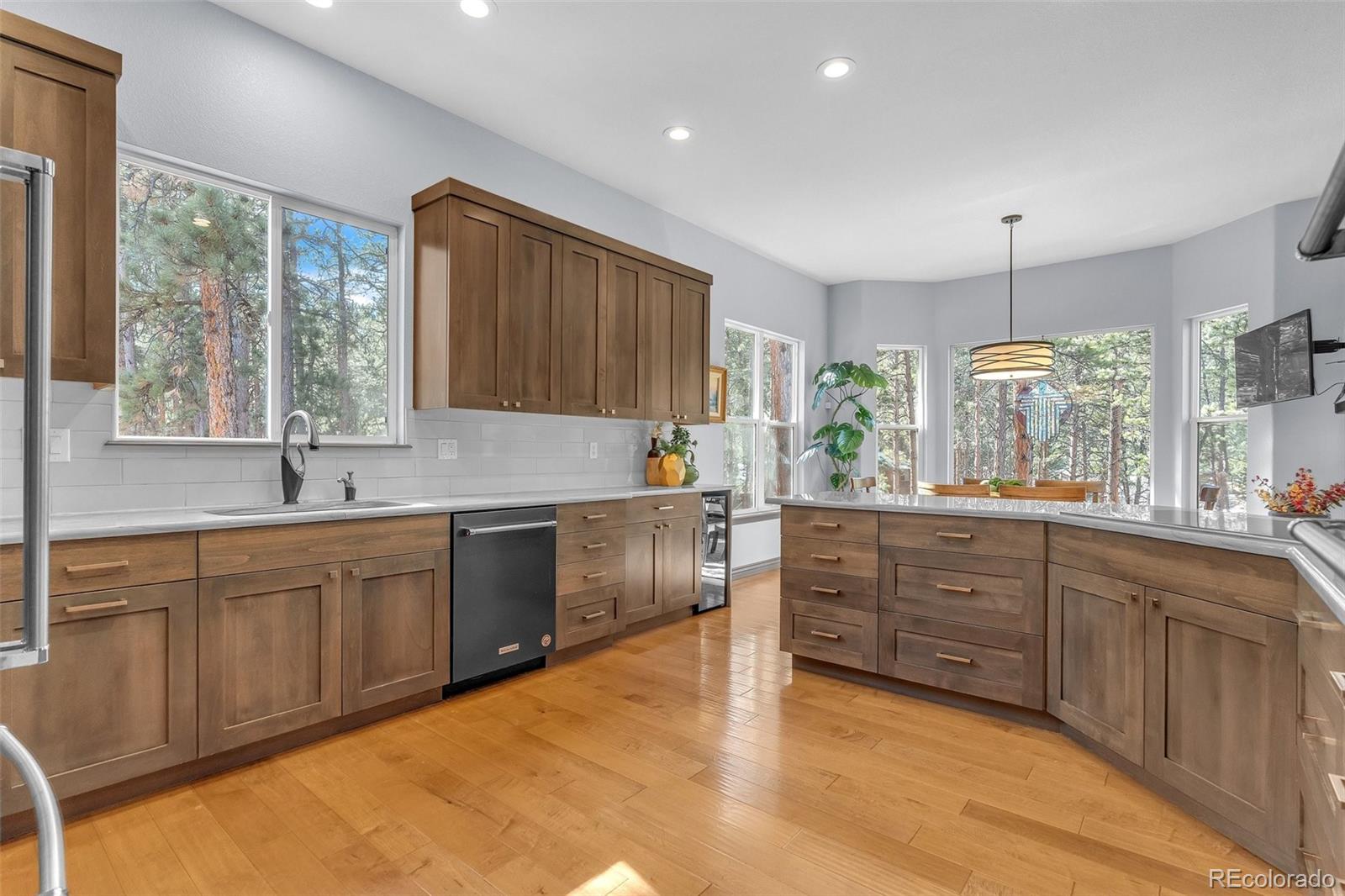 MLS Image #18 for 4988  delaware drive,larkspur, Colorado