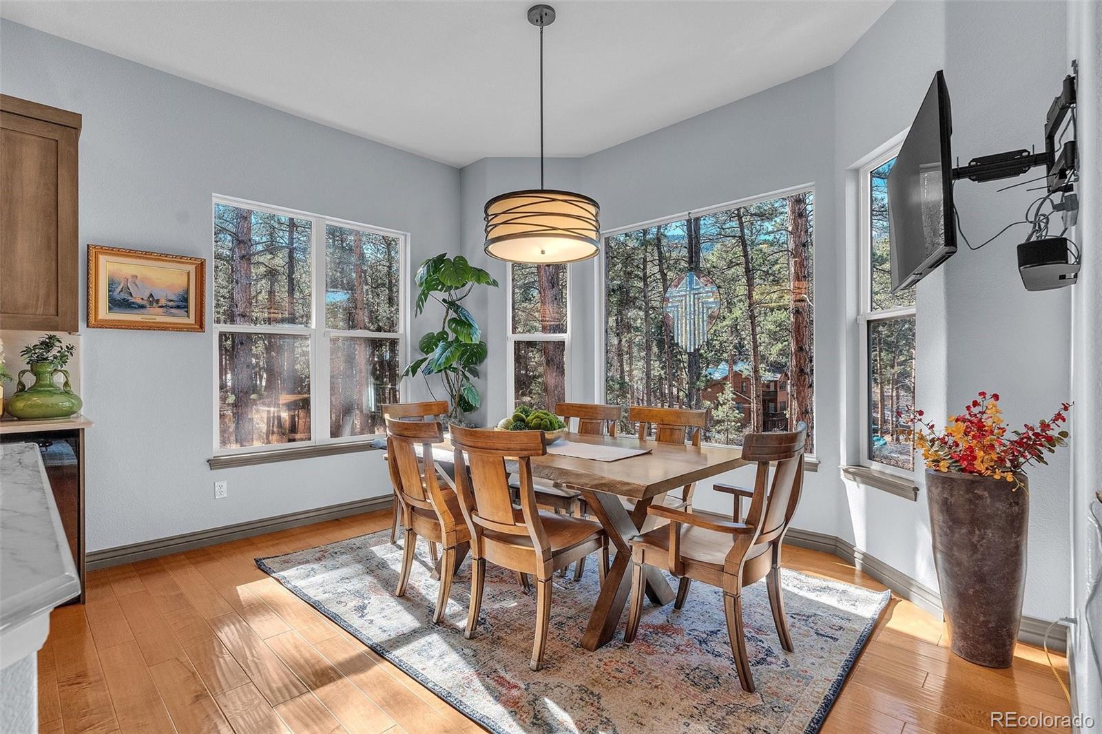 MLS Image #21 for 4988  delaware drive,larkspur, Colorado
