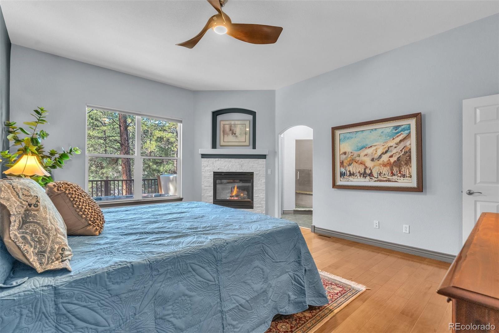 MLS Image #22 for 4988  delaware drive,larkspur, Colorado