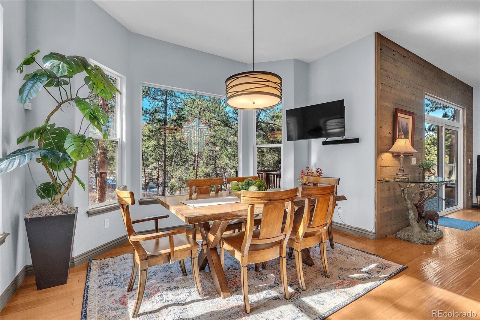 MLS Image #7 for 4988  delaware drive,larkspur, Colorado