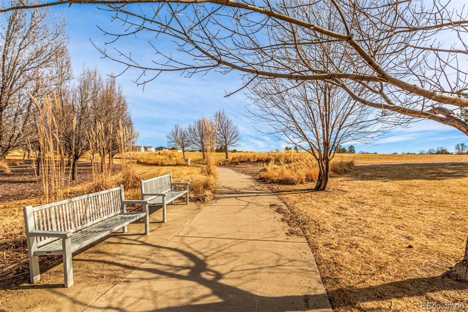 MLS Image #34 for 16388 e 109th avenue,commerce city, Colorado