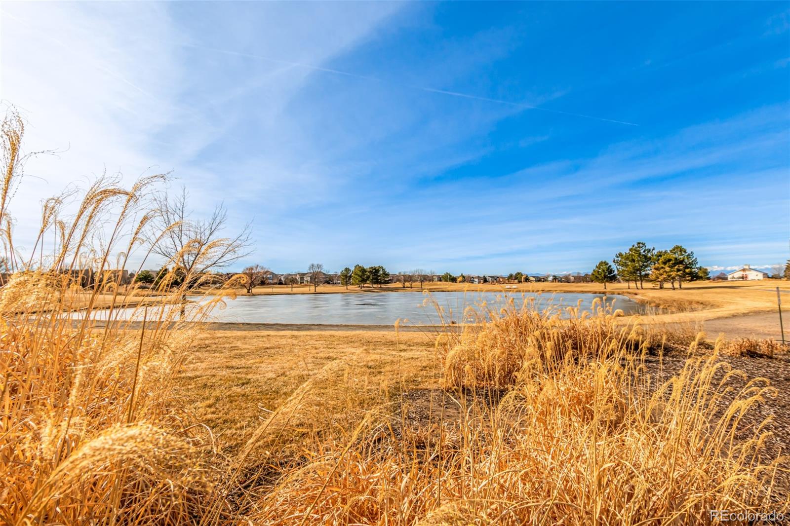 MLS Image #35 for 16388 e 109th avenue,commerce city, Colorado