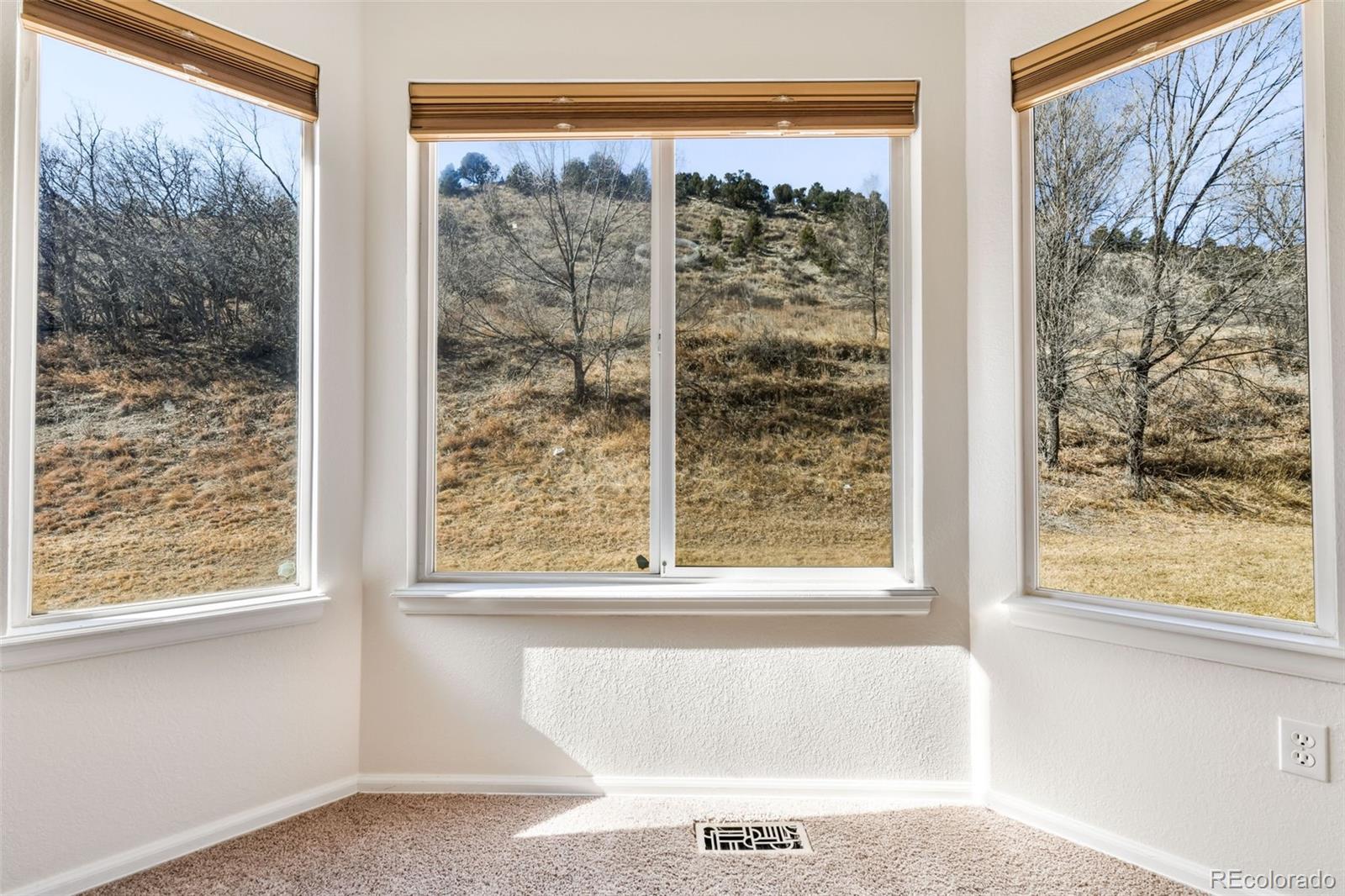 MLS Image #16 for 638  echo lane,colorado springs, Colorado