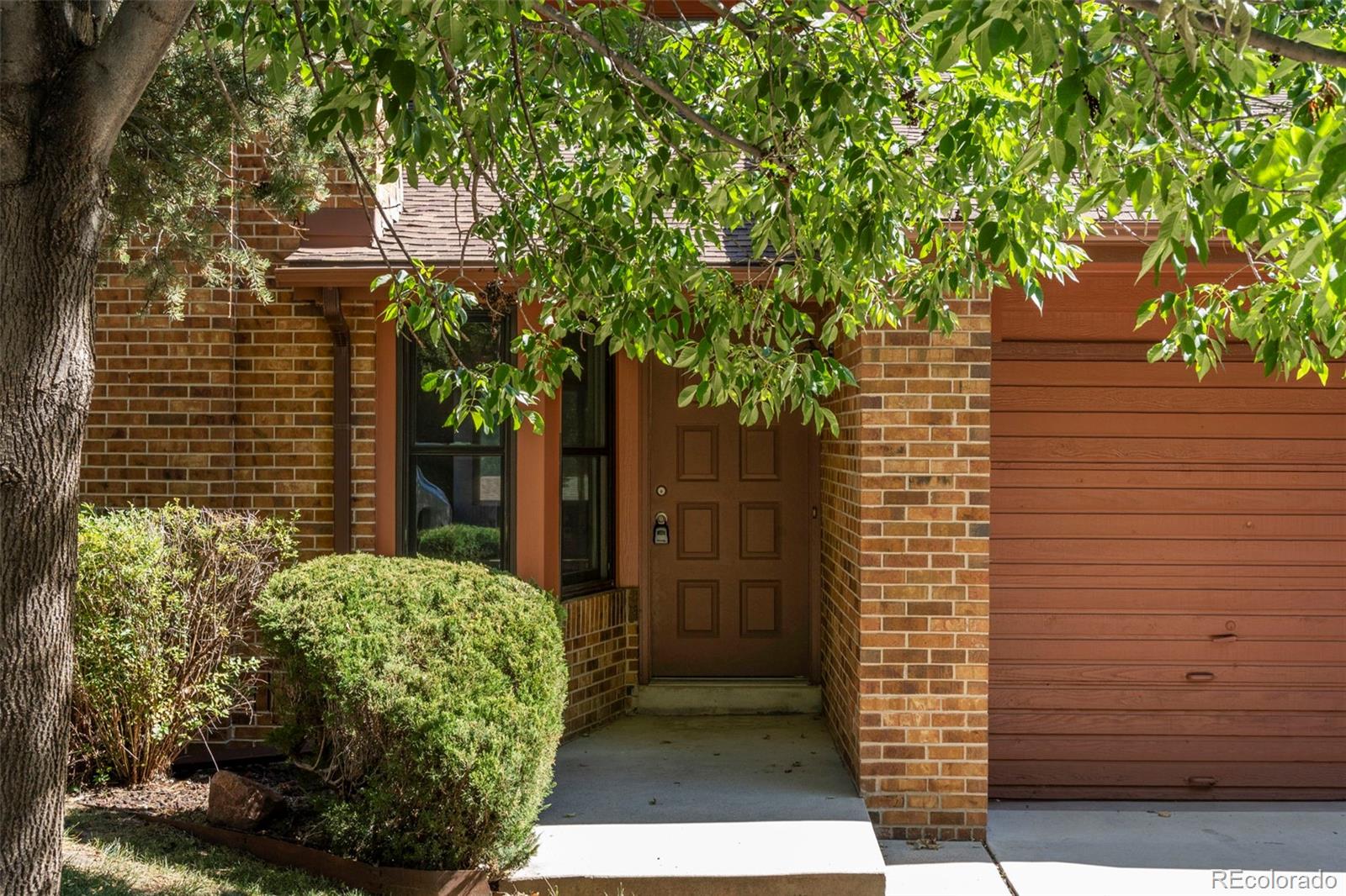 MLS Image #2 for 4875  evening sun lane ,colorado springs, Colorado