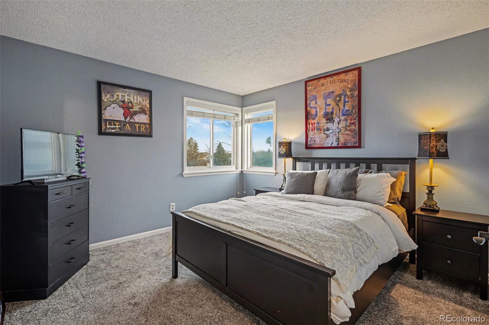 MLS Image #21 for 10549  winterflower way,parker, Colorado