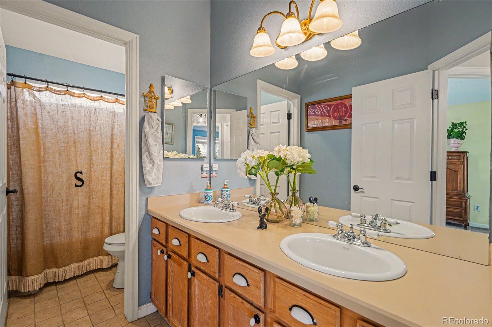 MLS Image #23 for 10549  winterflower way,parker, Colorado