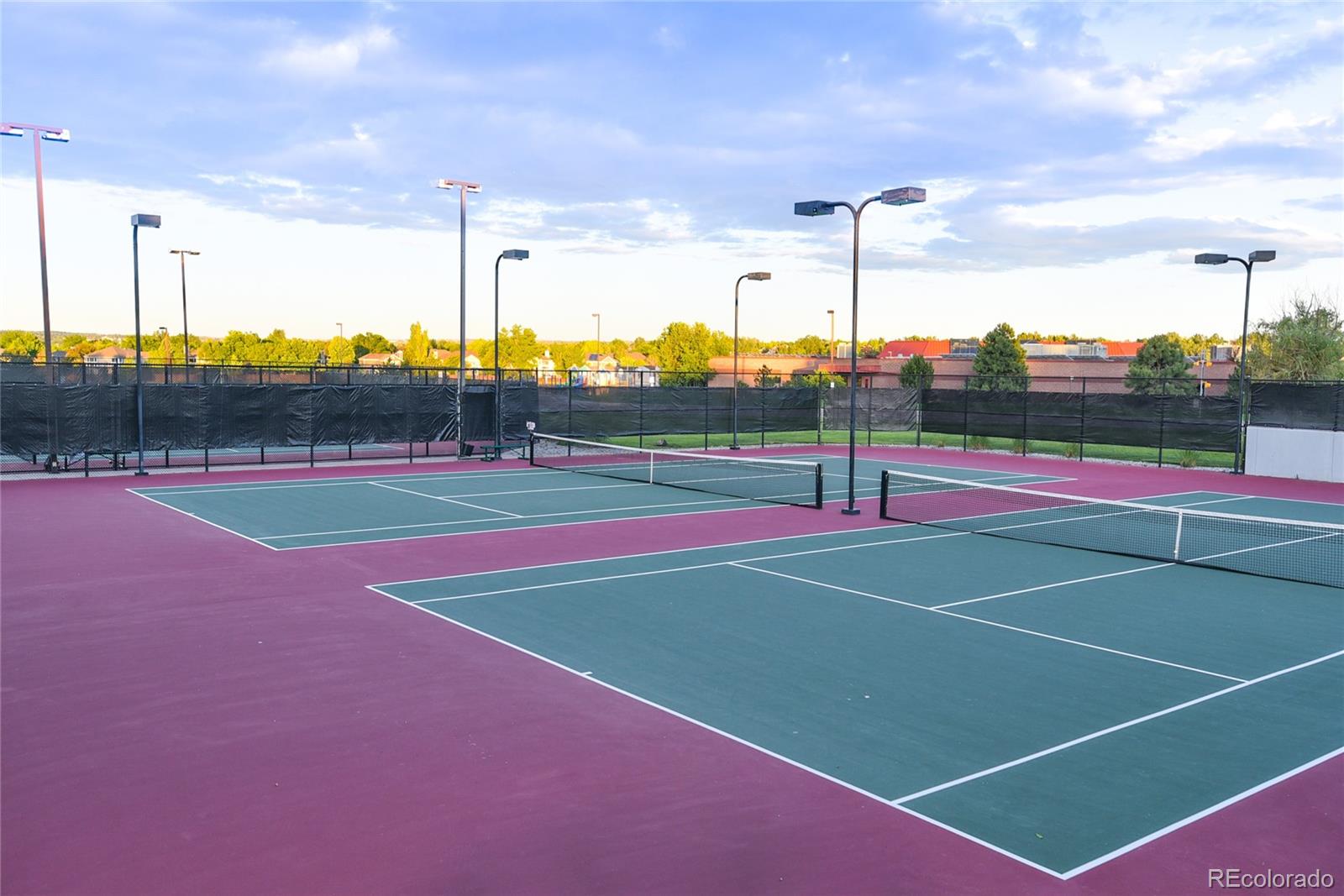 MLS Image #39 for 10549  winterflower way,parker, Colorado