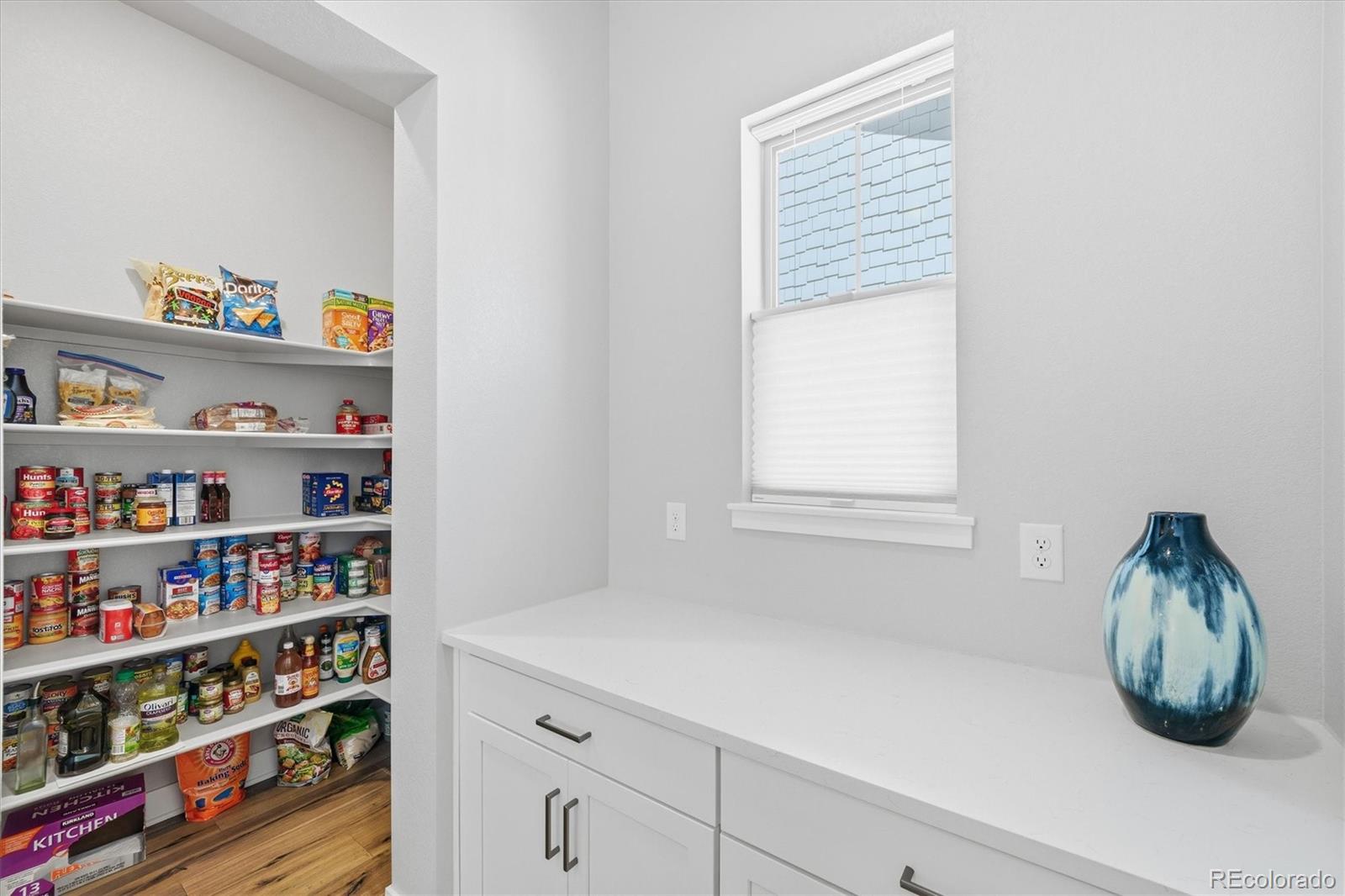 MLS Image #13 for 3269  offbeaten place,castle rock, Colorado
