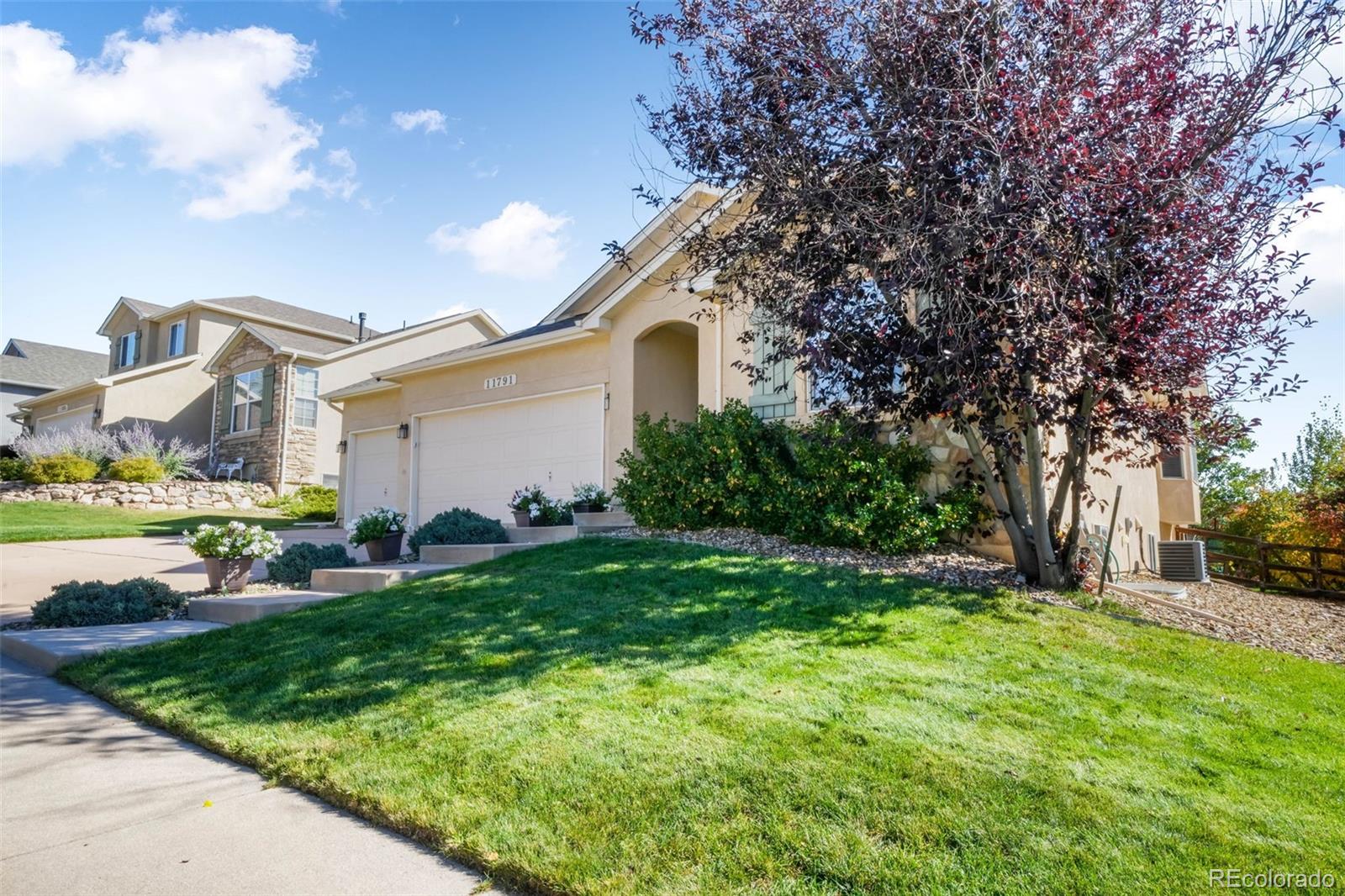 MLS Image #37 for 11791  laurelcreek drive,colorado springs, Colorado