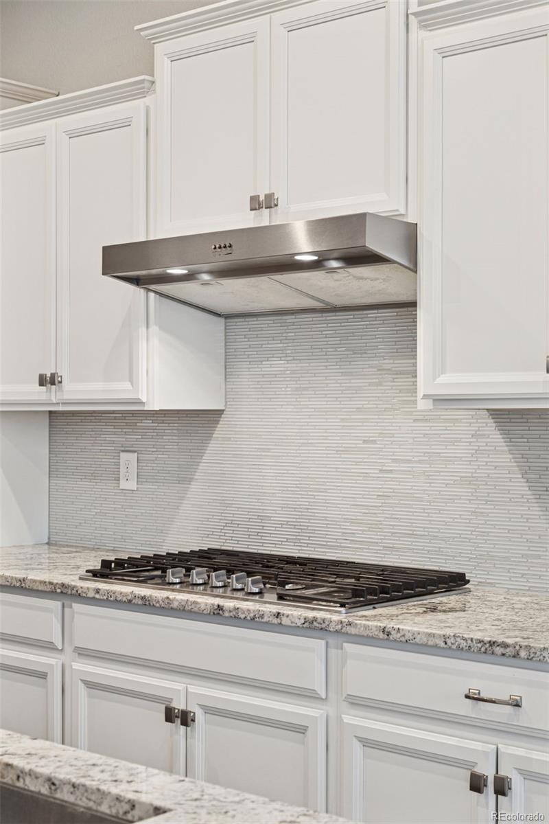 MLS Image #16 for 480  gold hill drive,erie, Colorado