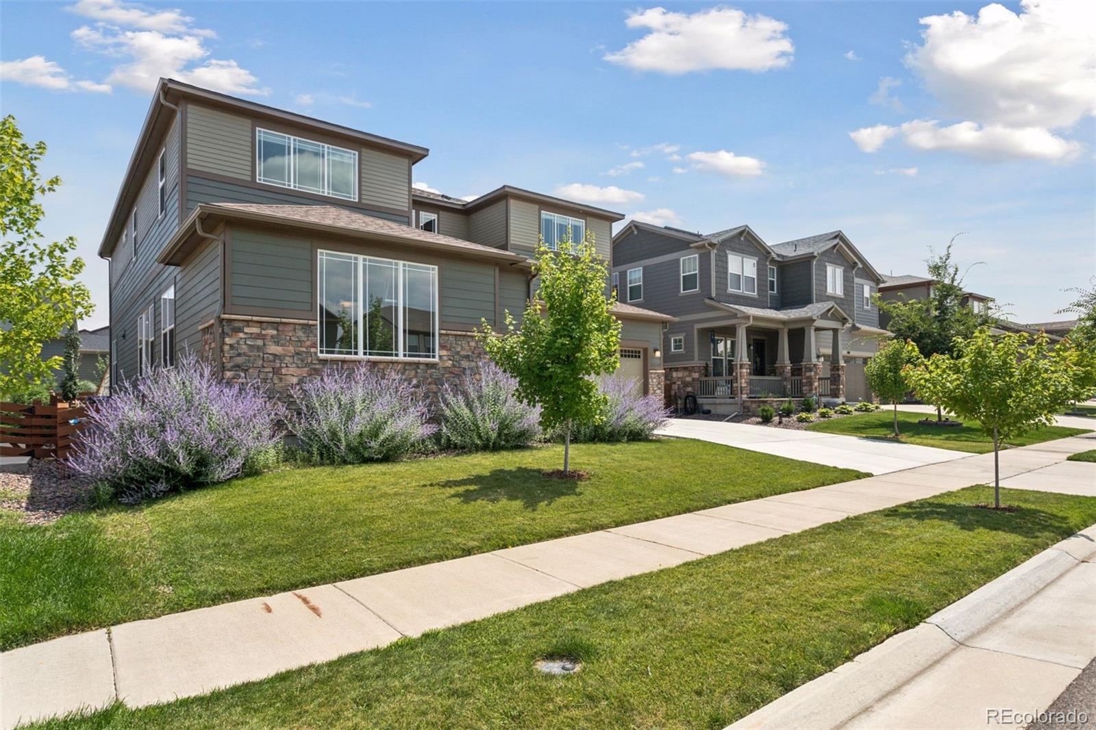 MLS Image #4 for 480  gold hill drive,erie, Colorado