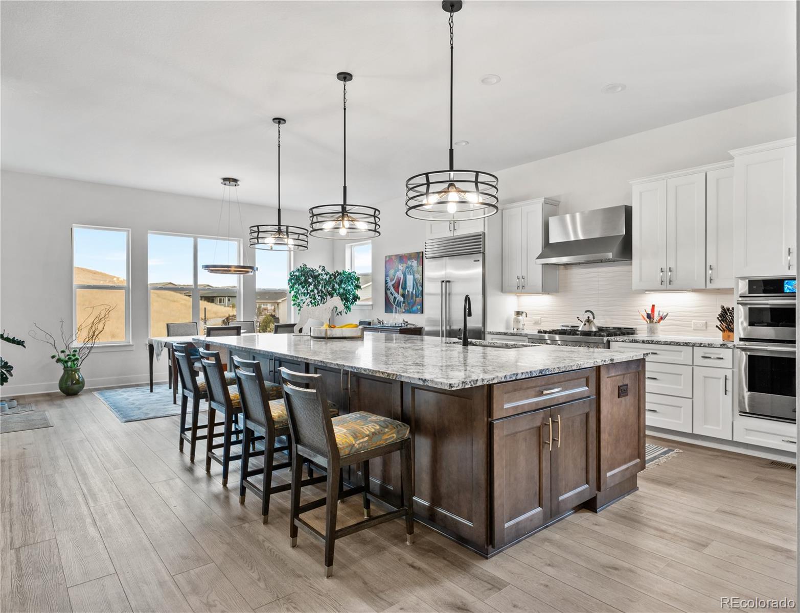 MLS Image #1 for 734  alumroot street,castle rock, Colorado