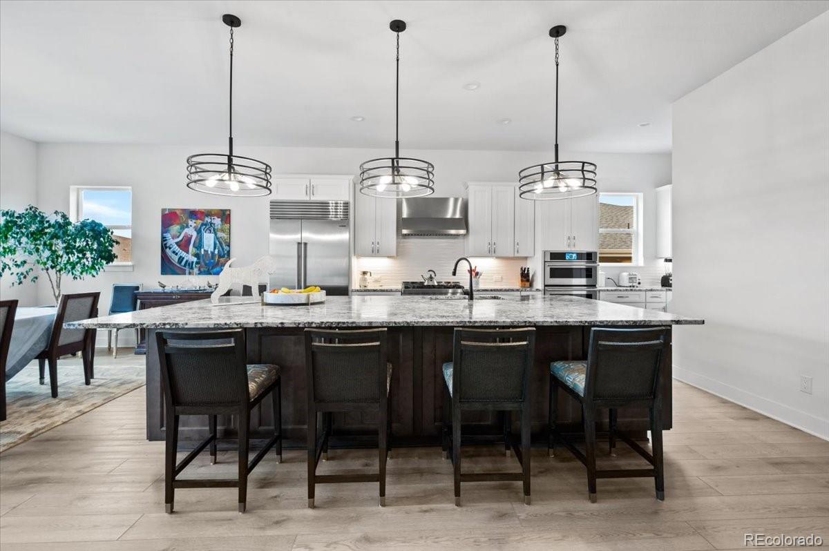 MLS Image #2 for 734  alumroot street,castle rock, Colorado