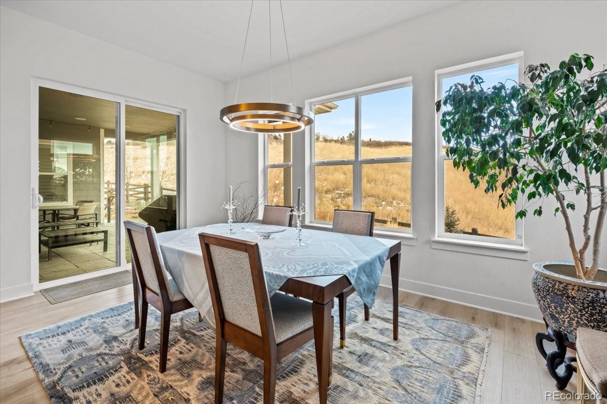 MLS Image #5 for 734  alumroot street,castle rock, Colorado