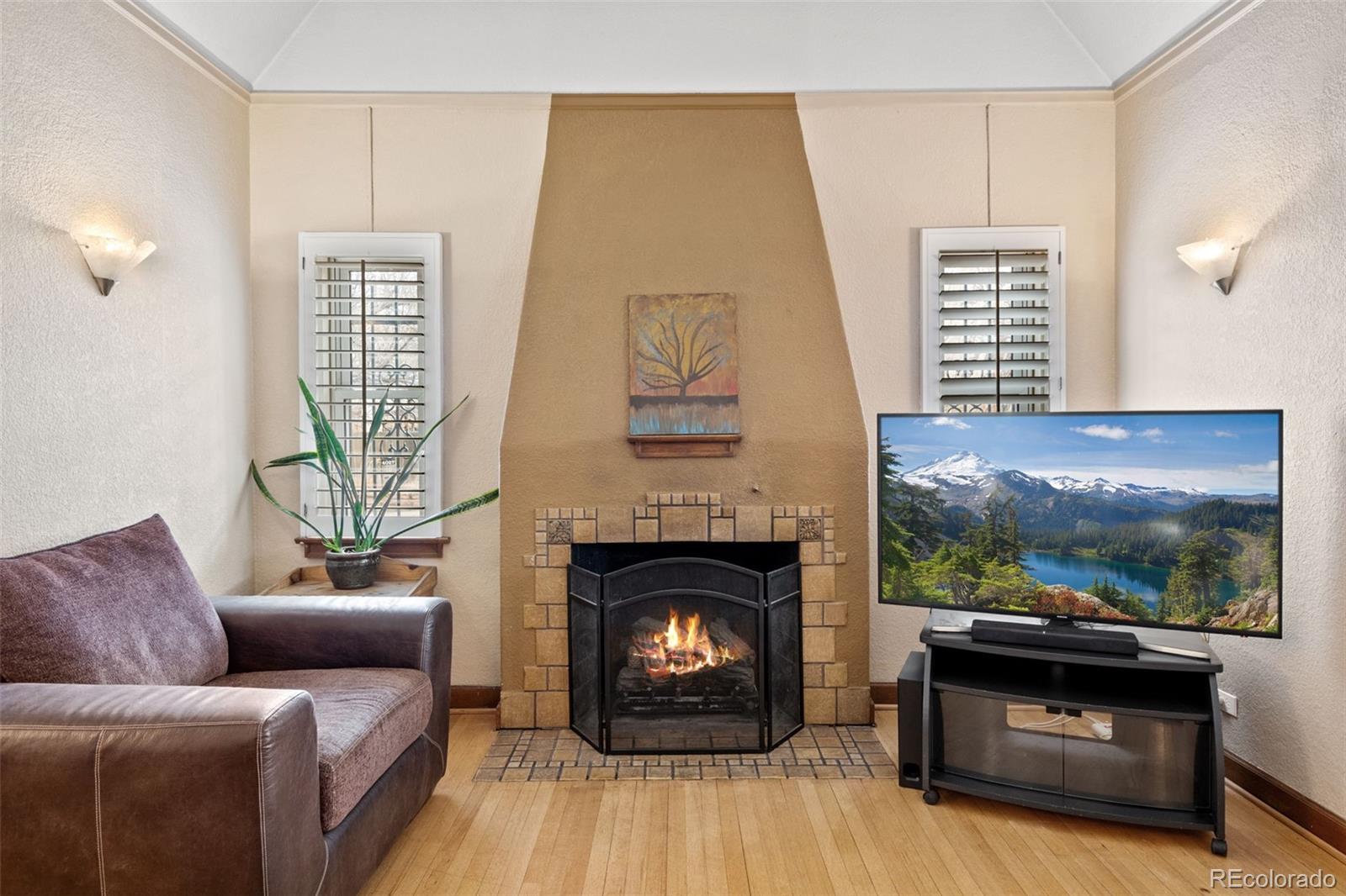 MLS Image #8 for 2995  albion street,denver, Colorado
