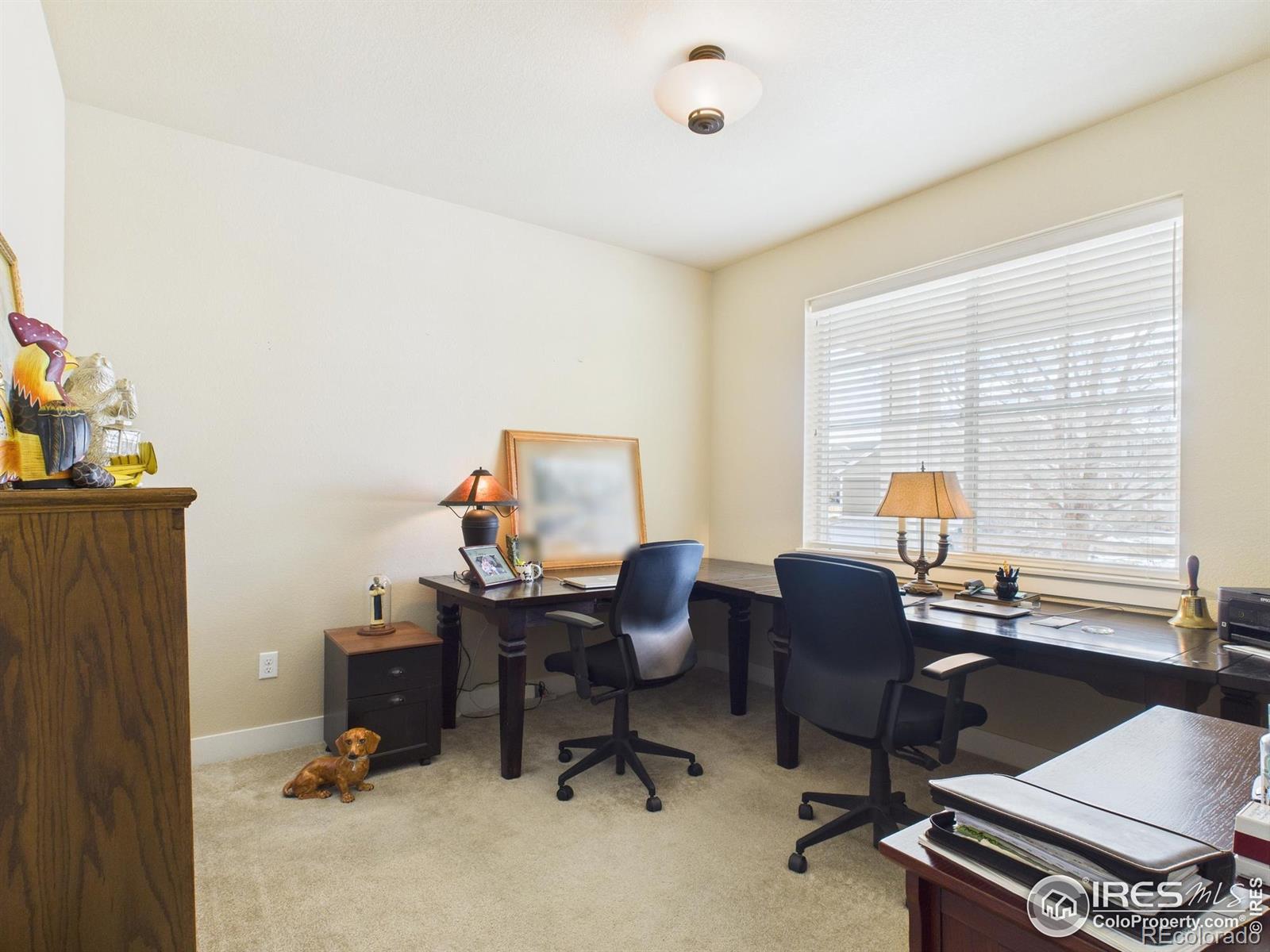 MLS Image #19 for 7813  river run drive,greeley, Colorado