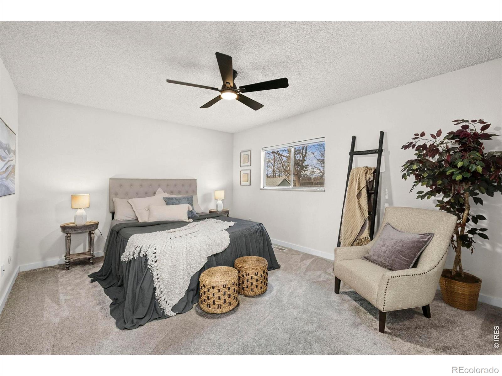 MLS Image #13 for 2437  lincoln street,longmont, Colorado