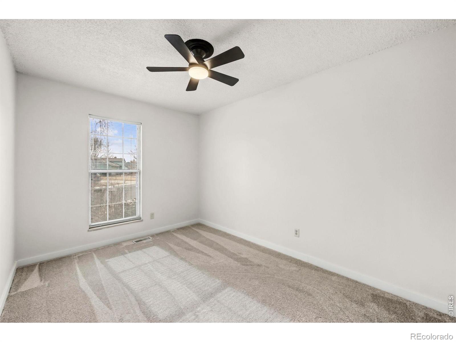 MLS Image #17 for 2437  lincoln street,longmont, Colorado