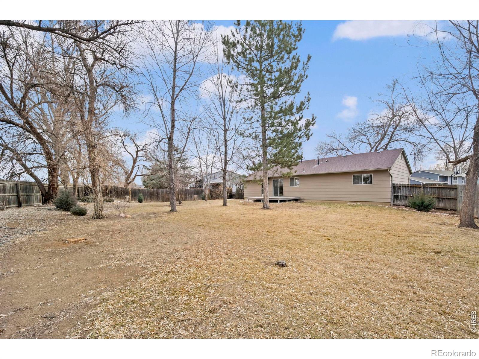 MLS Image #23 for 2437  lincoln street,longmont, Colorado