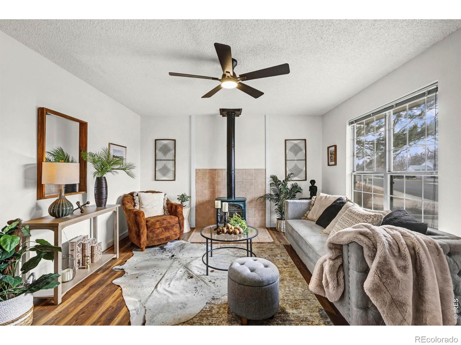 MLS Image #4 for 2437  lincoln street,longmont, Colorado
