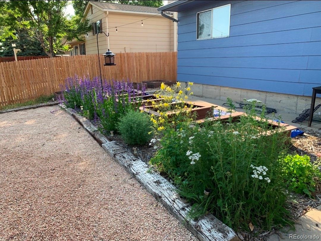 MLS Image #18 for 11016  brownstone drive,parker, Colorado