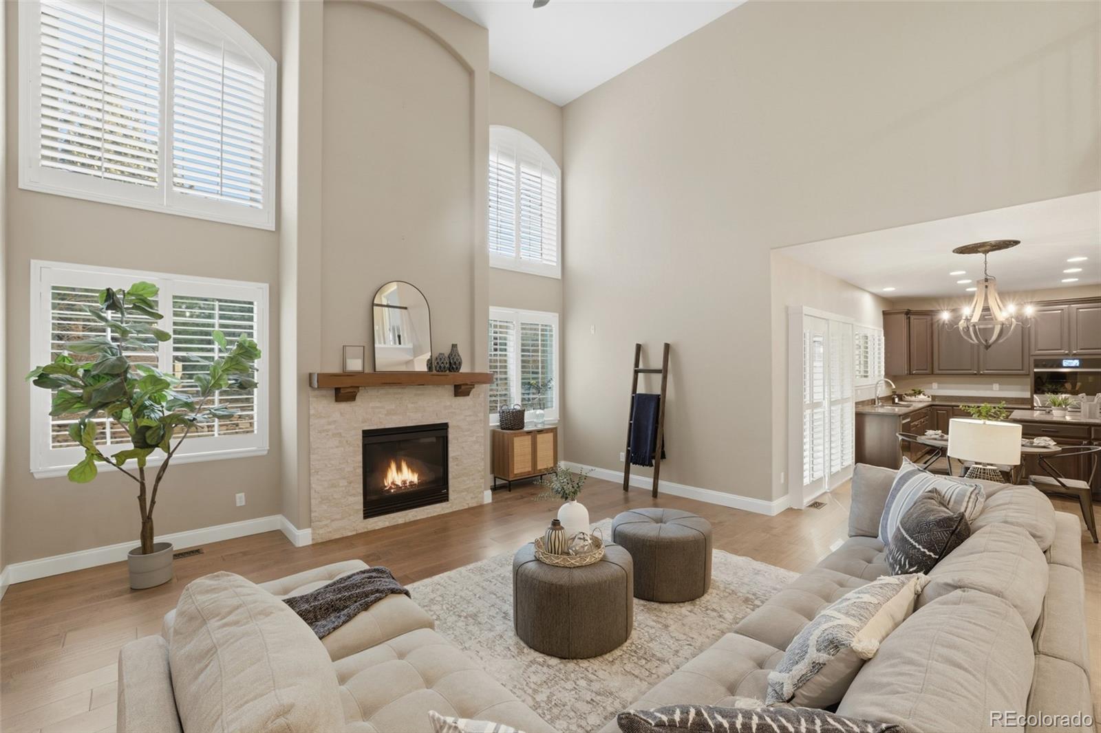 MLS Image #8 for 23476  painted hills street,parker, Colorado