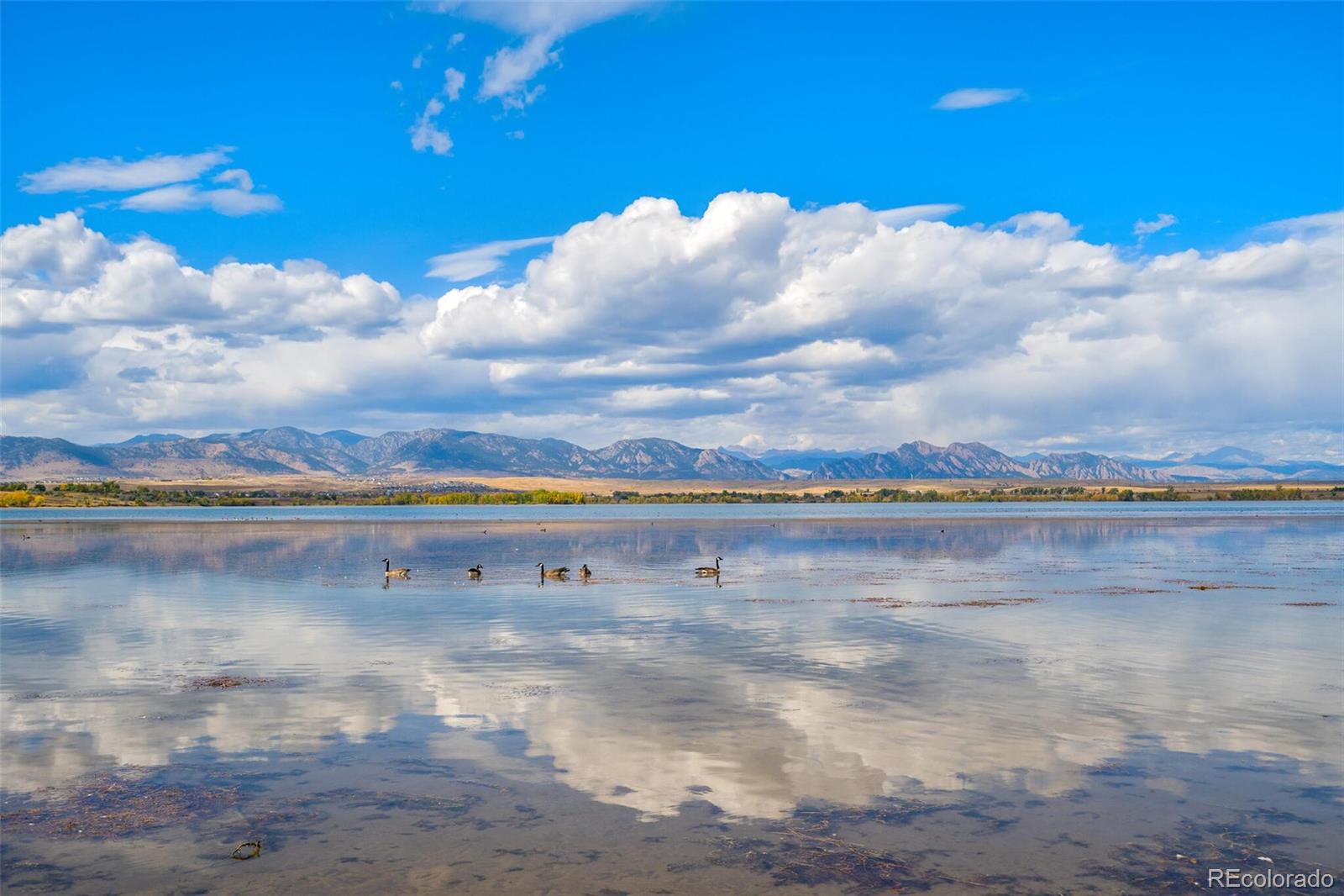 MLS Image #29 for 8362 w 90th avenue ,westminster, Colorado