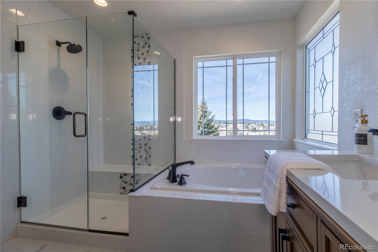 MLS Image #14 for 2463  bellavista street,castle rock, Colorado