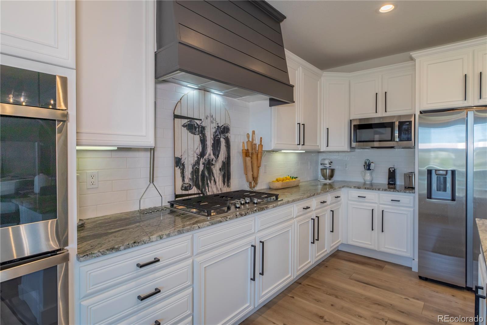 MLS Image #8 for 2463  bellavista street,castle rock, Colorado