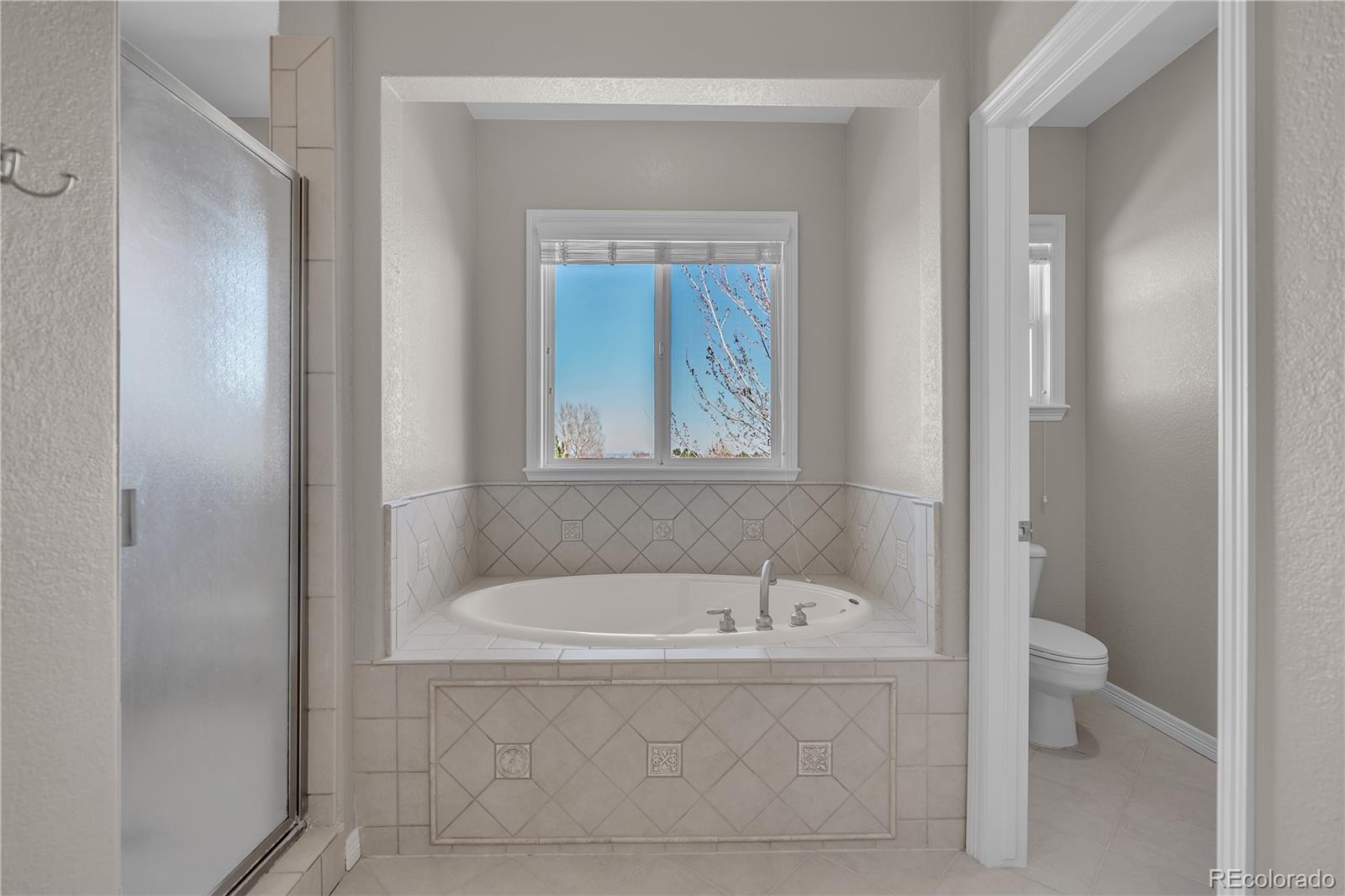 MLS Image #22 for 2632  pemberly avenue,highlands ranch, Colorado