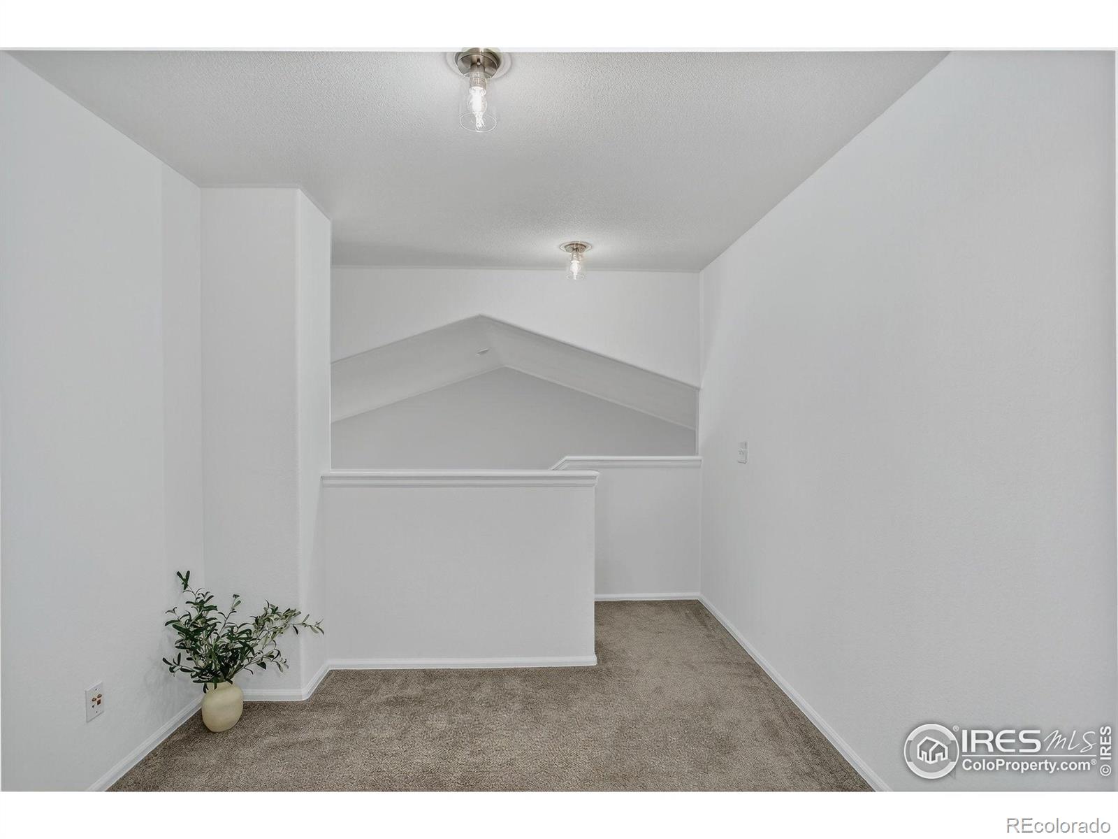 MLS Image #20 for 5605  mount sanitas avenue,longmont, Colorado