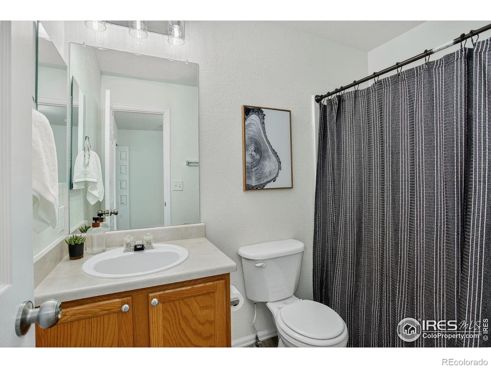 MLS Image #24 for 5605  mount sanitas avenue,longmont, Colorado