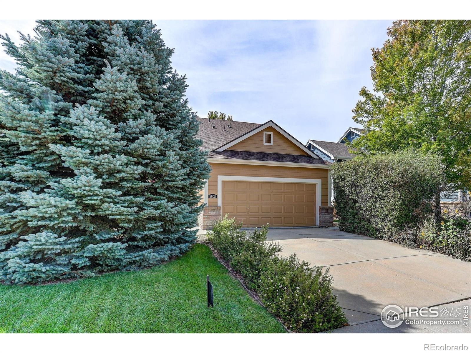 MLS Image #6 for 5605  mount sanitas avenue,longmont, Colorado