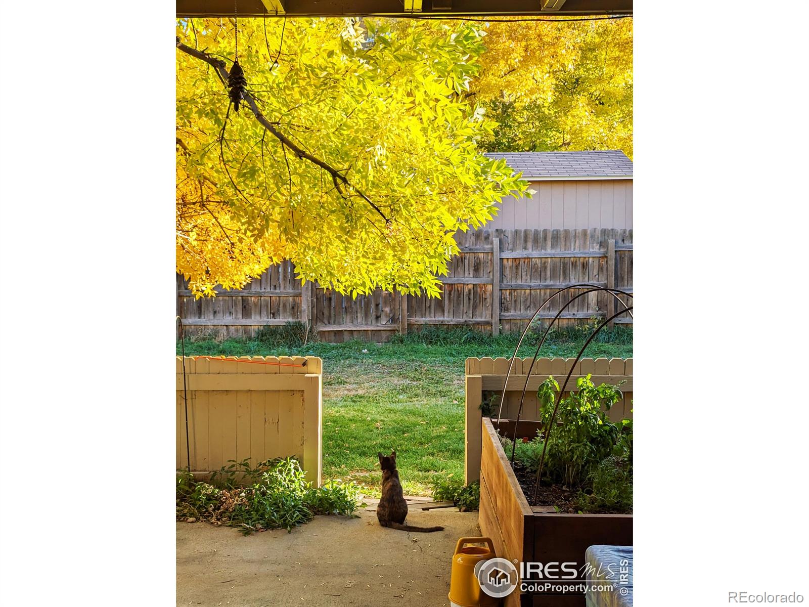 MLS Image #12 for 1150  bacchus drive,lafayette, Colorado