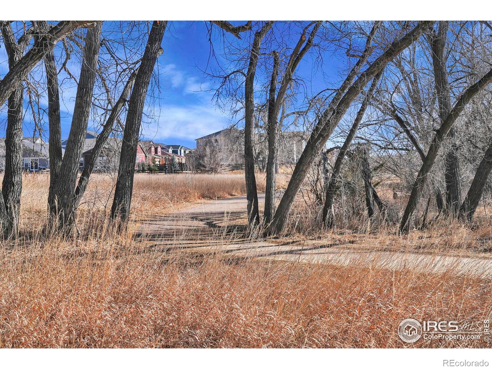 MLS Image #25 for 1150  bacchus drive,lafayette, Colorado