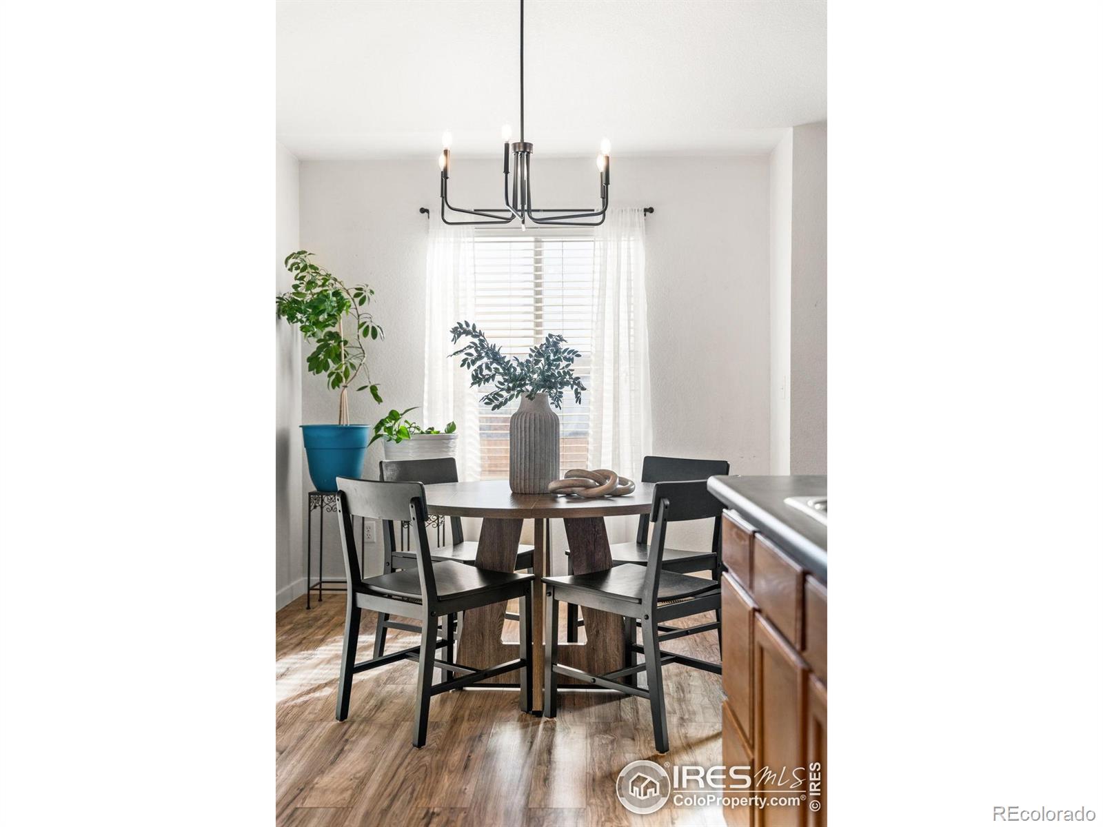 MLS Image #10 for 12606  jersey circle,thornton, Colorado