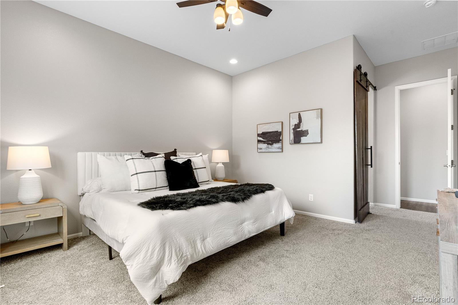 MLS Image #18 for 9781  eagle river street,littleton, Colorado