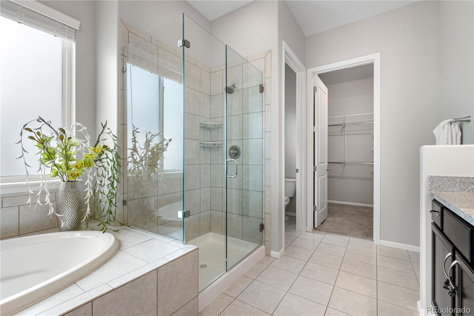 MLS Image #23 for 9781  eagle river street,littleton, Colorado