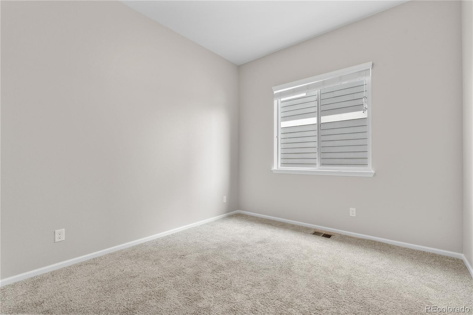 MLS Image #29 for 9781  eagle river street,littleton, Colorado