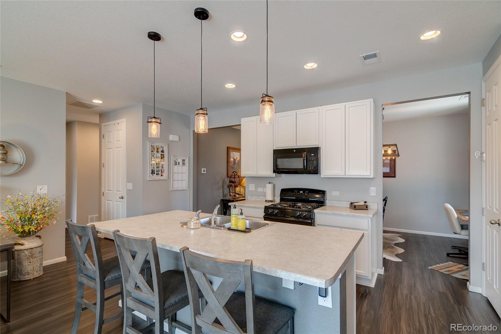MLS Image #6 for 1868  makley loop,castle rock, Colorado