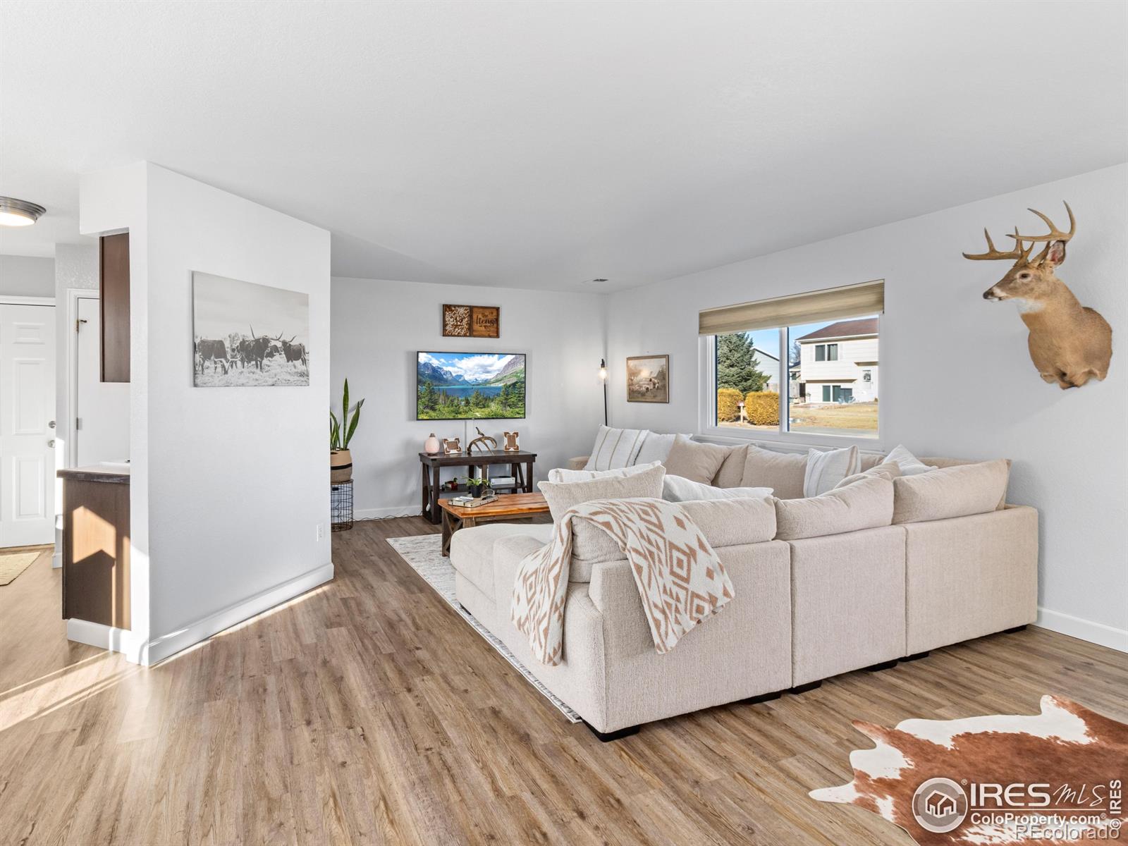 MLS Image #1 for 4610  homestead court,greeley, Colorado