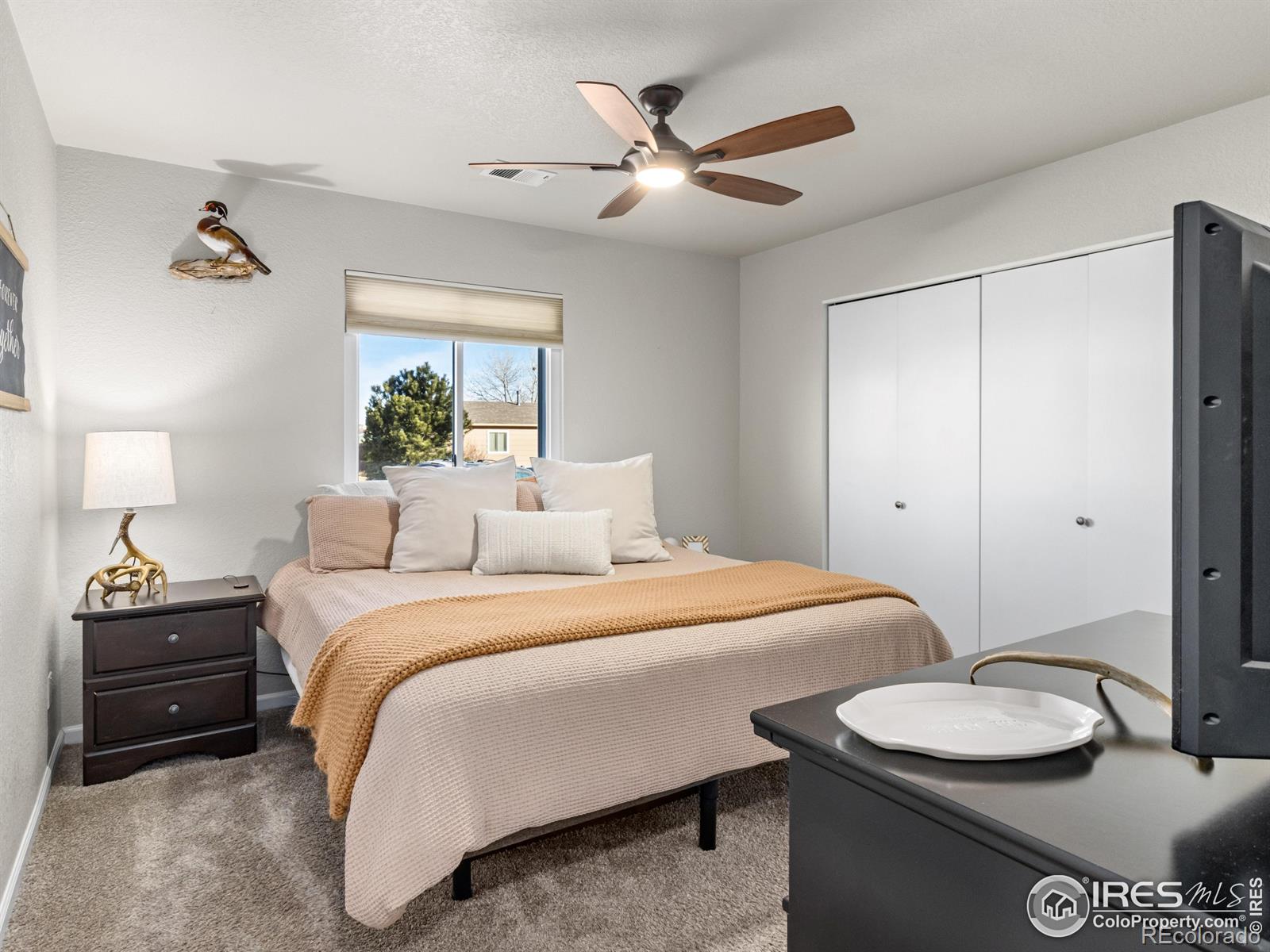 MLS Image #10 for 4610  homestead court,greeley, Colorado