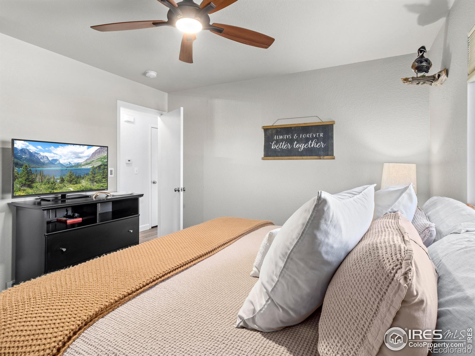 MLS Image #11 for 4610  homestead court,greeley, Colorado