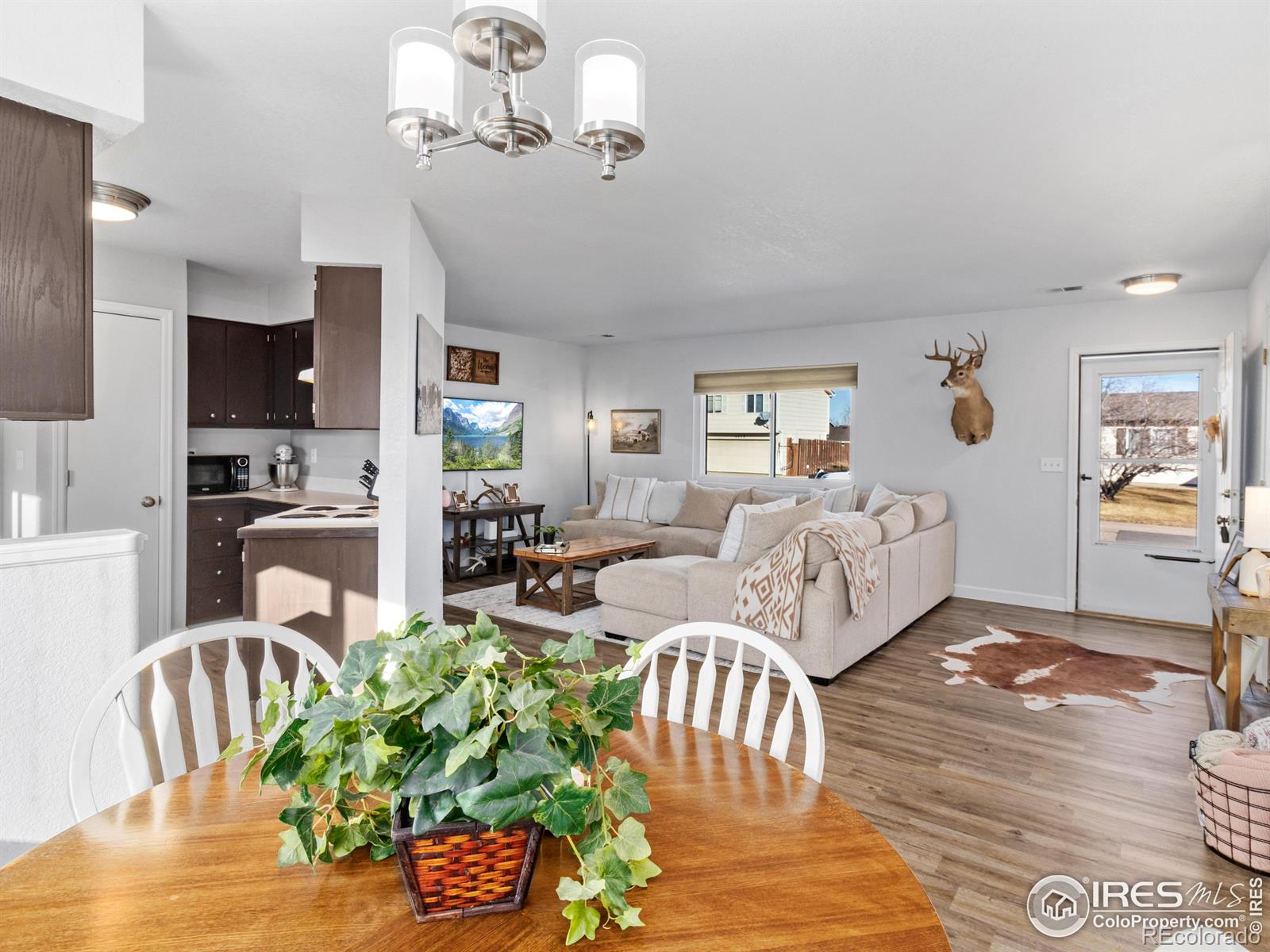 MLS Image #9 for 4610  homestead court,greeley, Colorado