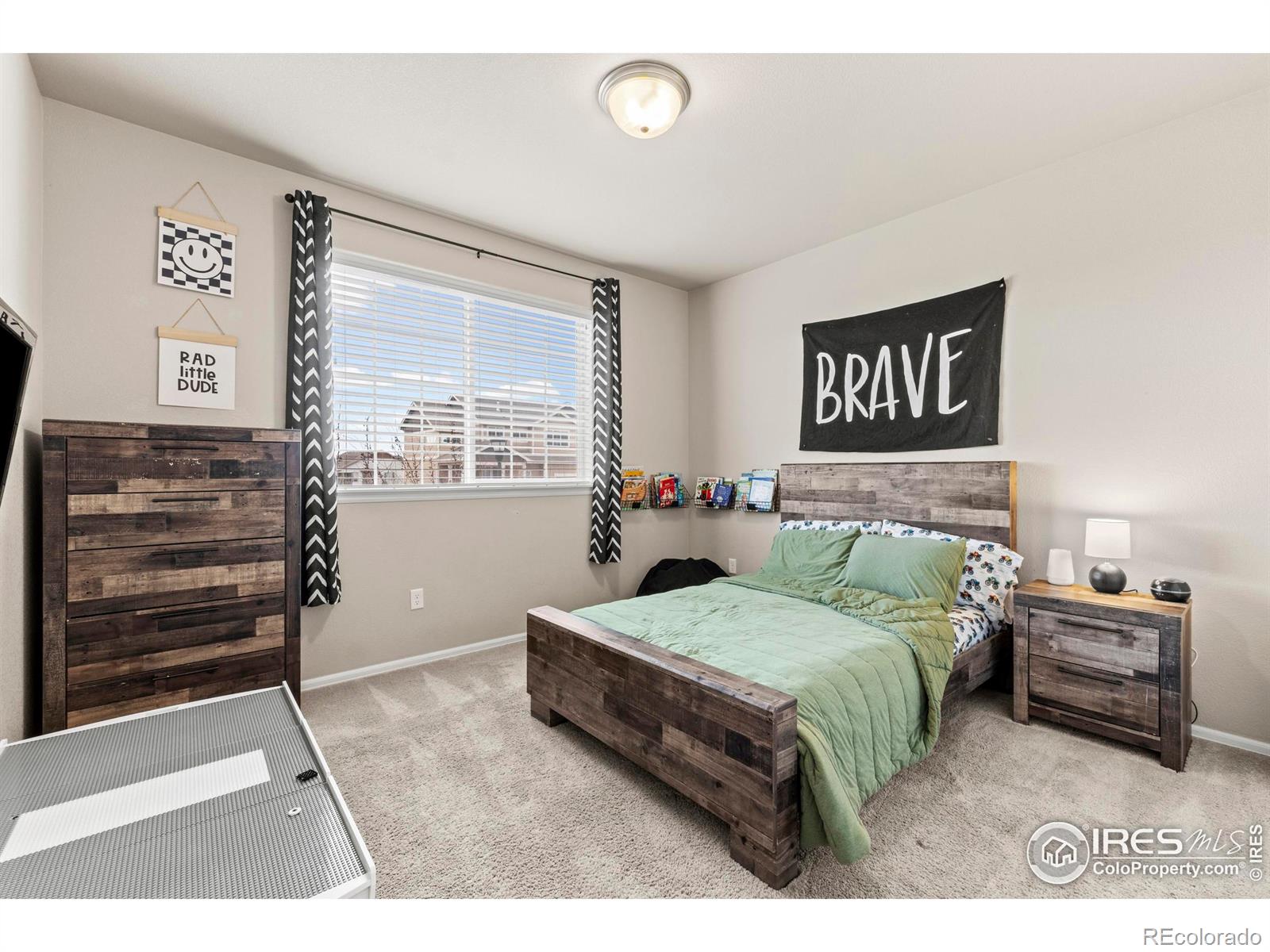 MLS Image #18 for 1216  muskox street,severance, Colorado