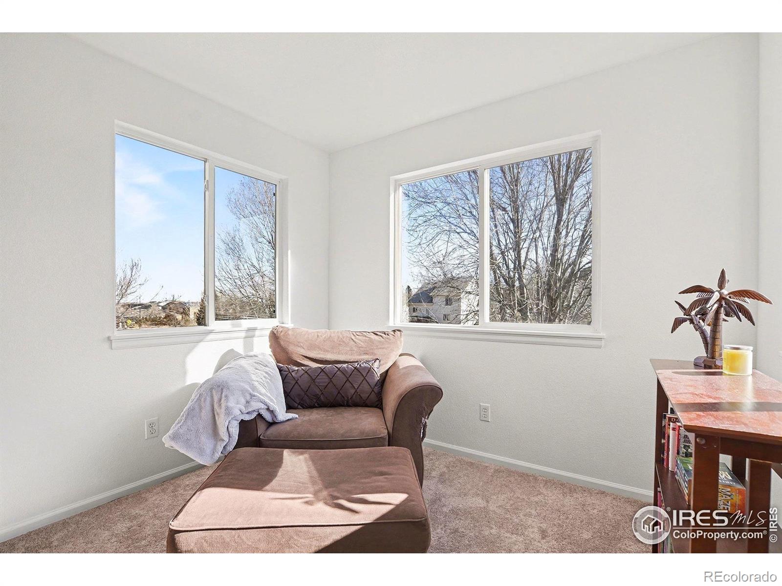 MLS Image #19 for 329  simmons street,erie, Colorado