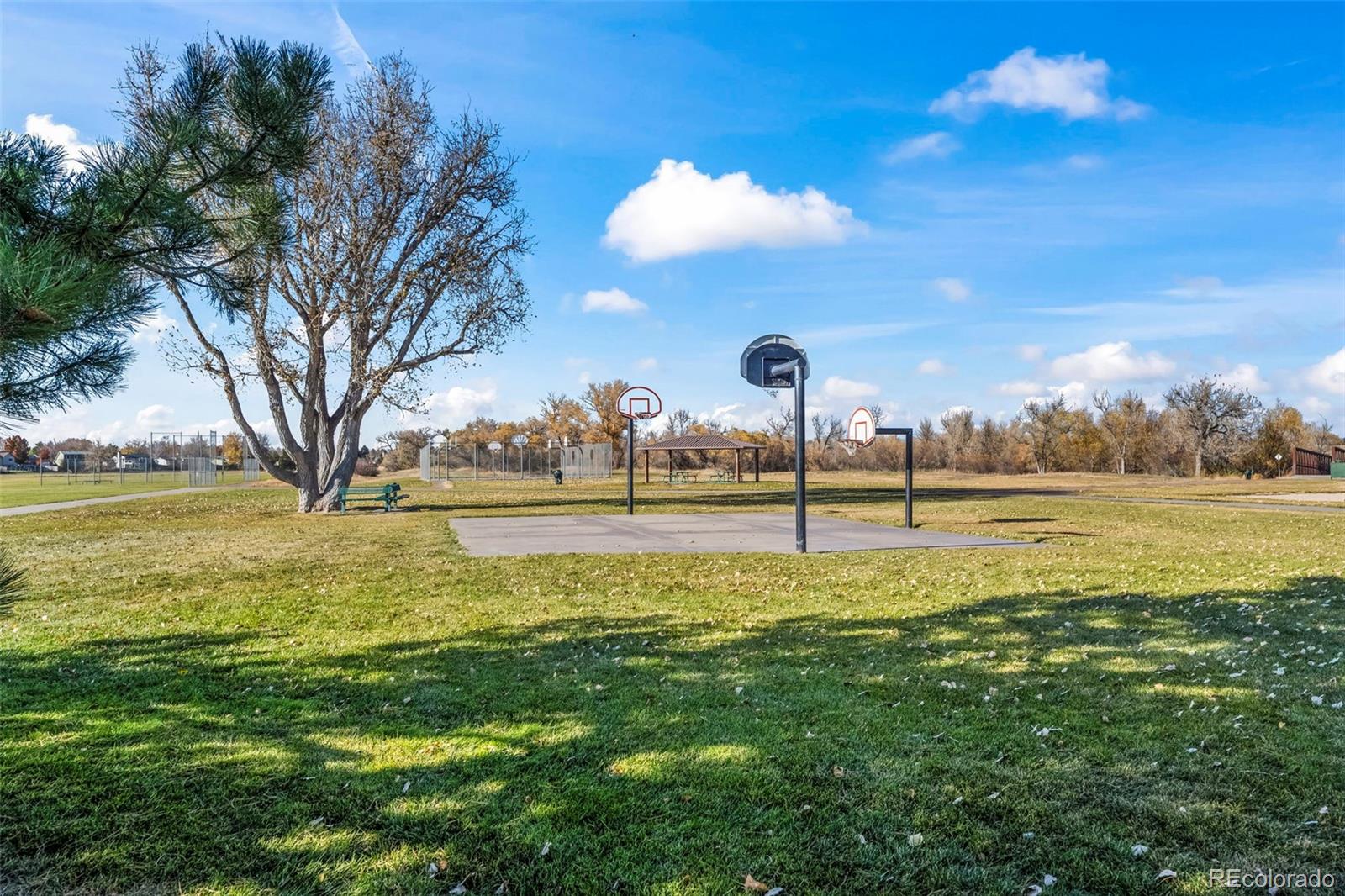 MLS Image #29 for 8823  cloverleaf circle,parker, Colorado