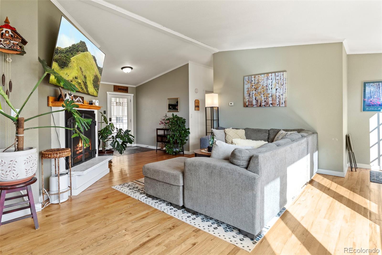 MLS Image #10 for 11608  nichols way,conifer, Colorado