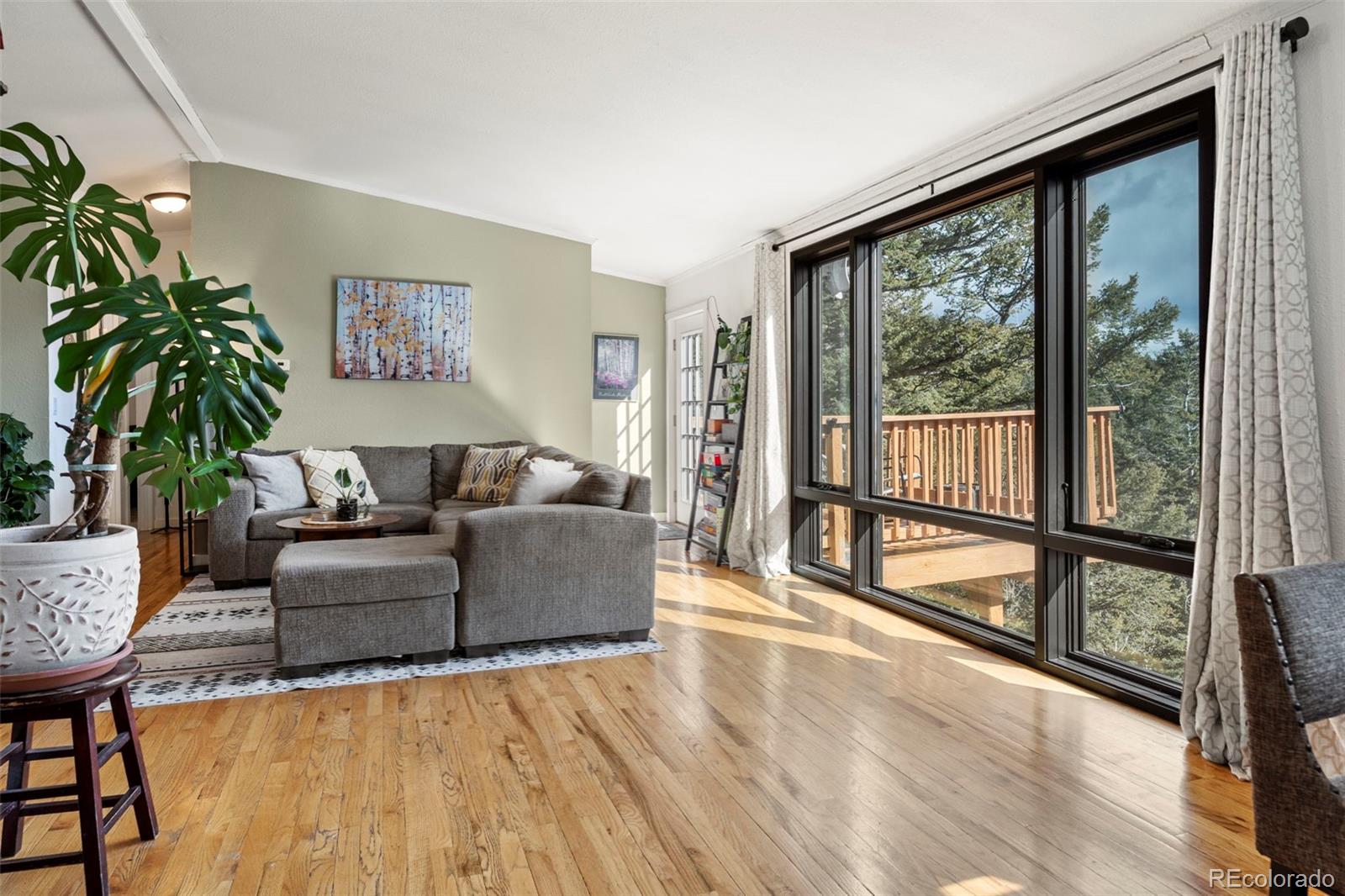 MLS Image #11 for 11608  nichols way,conifer, Colorado